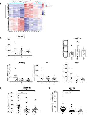 Circulating miRNAs act as potential biomarkers for asthma